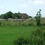 Kayser Sylt * Morsum (Sylt)