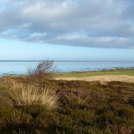 Kayser Sylt * Morsum