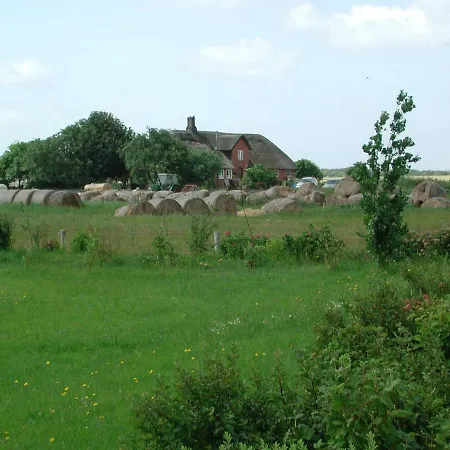 Kayser Sylt * Morsum (Sylt)