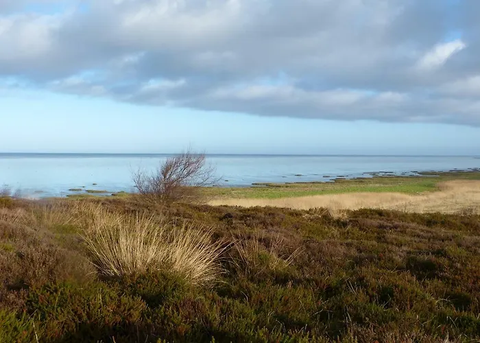 Kayser Sylt * Morsum