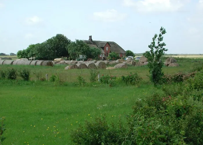 Kayser Sylt * Morsum